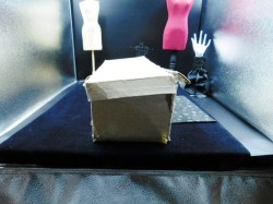 sonja henie box a